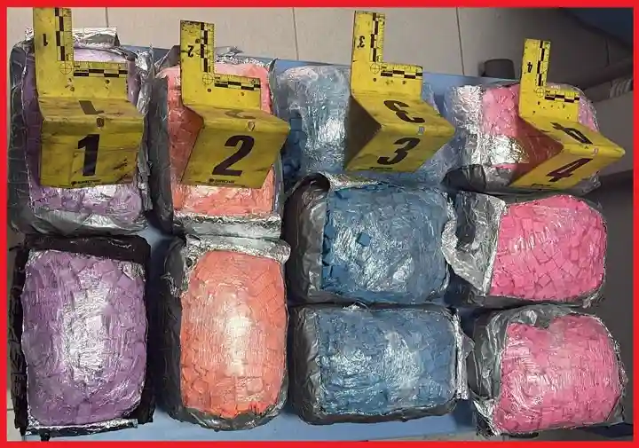 علب مواد غذائية تخفي مفاجأة صادمة بميناء طنجة المتوسط